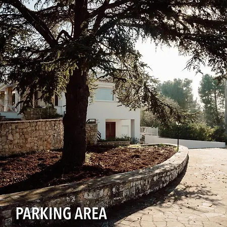 Dimora Caggione Πανσιόν Polignano a Mare