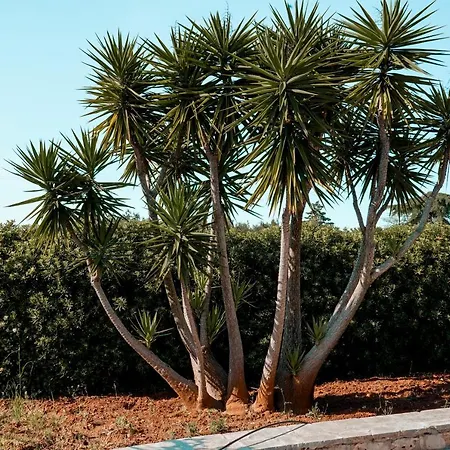 Affittacamere Dimora Caggione Polignano a Mare